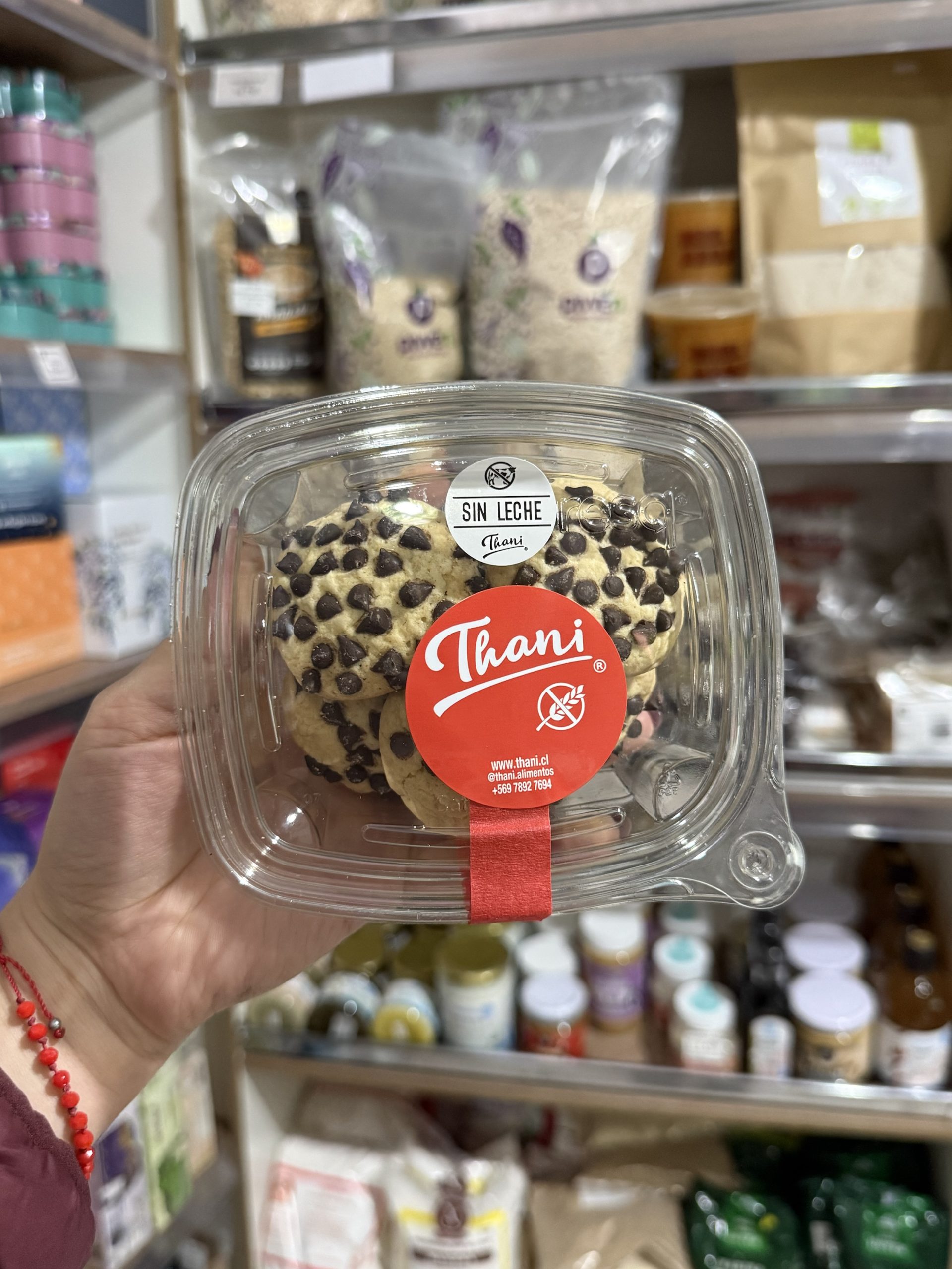 GALLETAS CHIP THANI